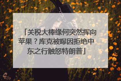 关税大棒缘何突然挥向苹果？库克被曝因拒绝中东之行触怒特朗普